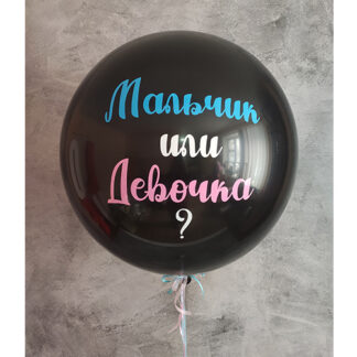 гендер шар запорожье